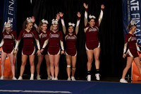 ILCHEER_17_M15002