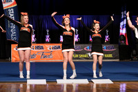 ILCHEER_17_S15011