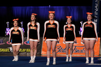 ILCHEER_17_S15015