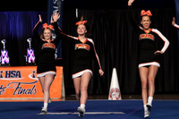 ILCHEER_17_S15006