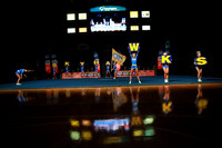 ILCHEER_26_1130018