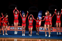ILCHEER_26_3140008