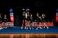 ILCHEER_26_3050003