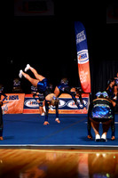 ILCHEER_26_3110015