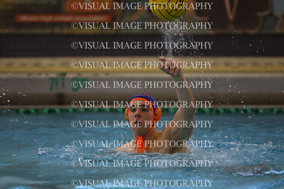 ILWP_24_S2049