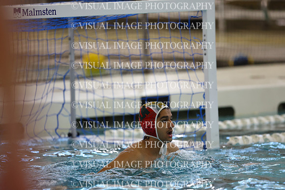 ILWP_24_S2065