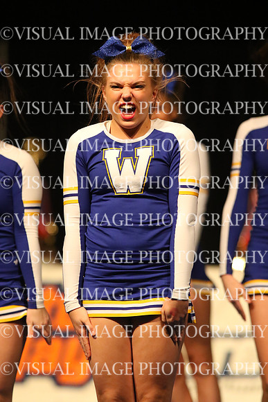 ILCHEER_16_L24008