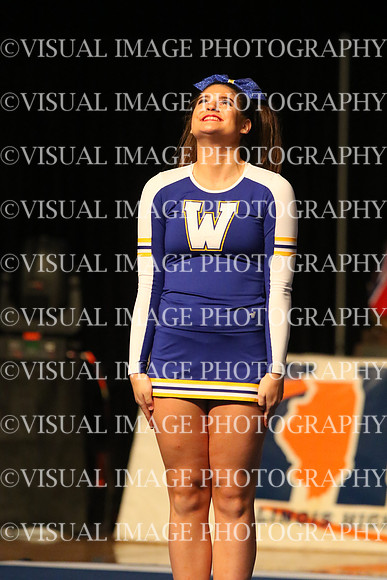 ILCHEER_16_L24005