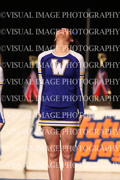 ILCHEER_16_L24003