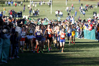 ILXC_13_30007