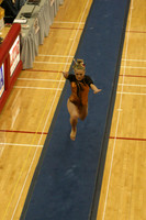 ILGYMG10_VAULT_F0016