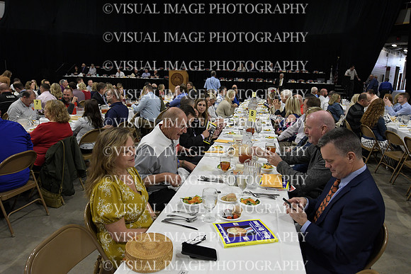 IBCA22_COY_C007