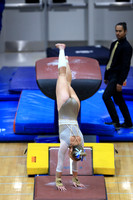 ILGYM26_VAULT_F0002
