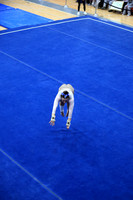 ILGYM26_FLOOR_P0008