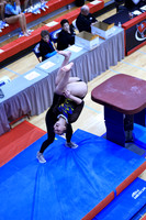 ILGYM26_VAULT_P0016