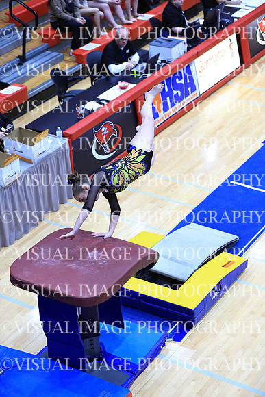 ILGYM26_VAULT_P0028
