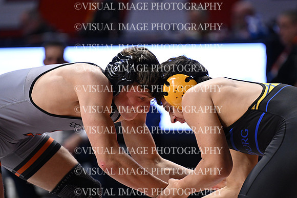ILIWR26_175_15025