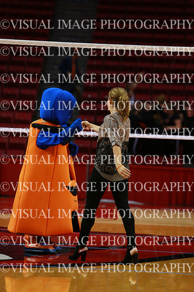 ILVBG_17_F410025