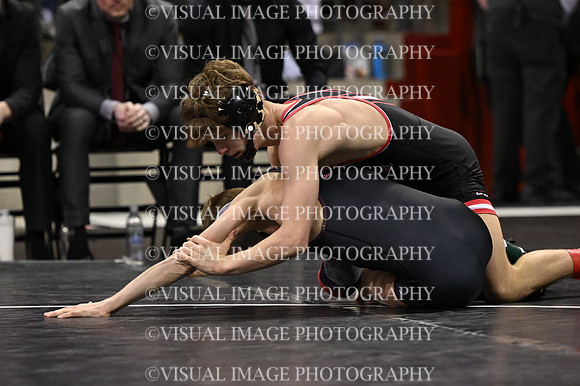 WIIWR26_113_11026