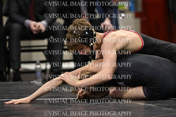 WIIWR26_113_11028