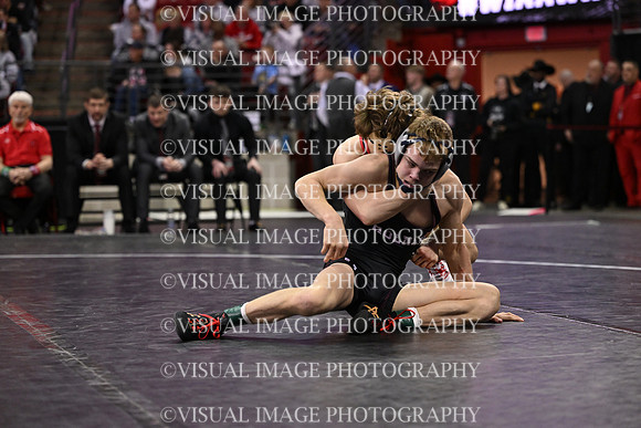 WIIWR26_113_11036