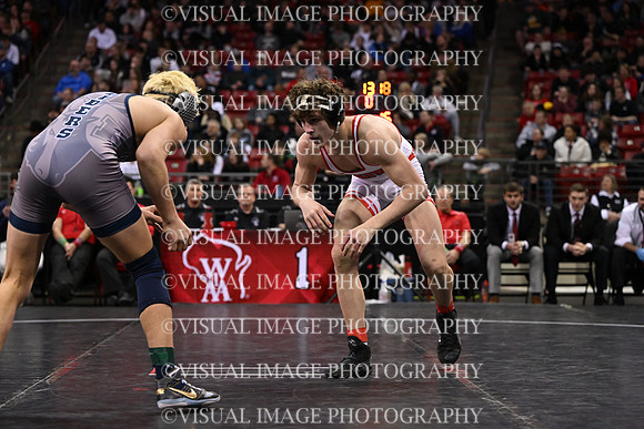 WIIWR26_165_11036