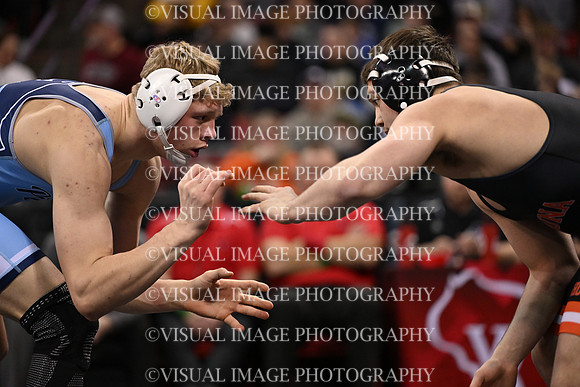 WIIWR26_175_11020