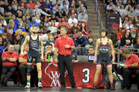 Championship