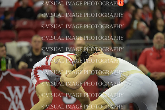 WIIWR26_138_21024