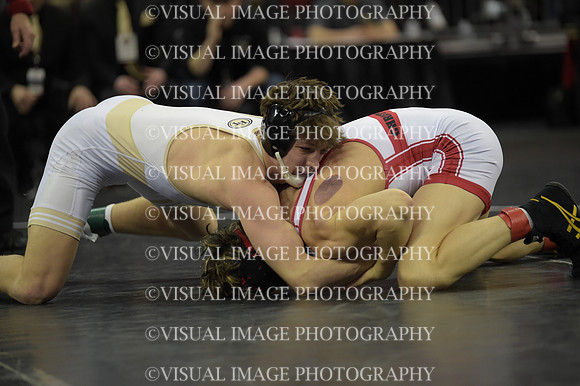 WIIWR26_138_21028