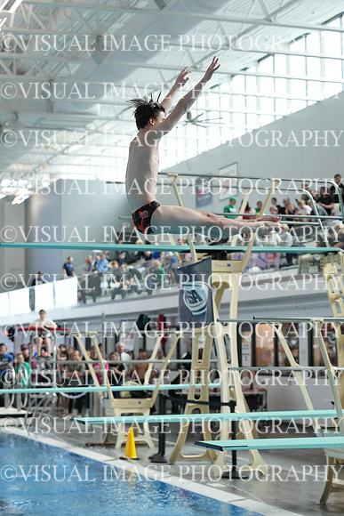 ILSW24_DIVE_F0024