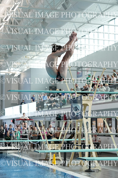 ILSW24_DIVE_F0026