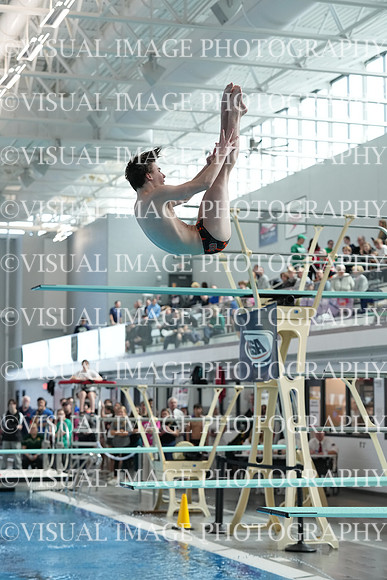 ILSW24_DIVE_F0027