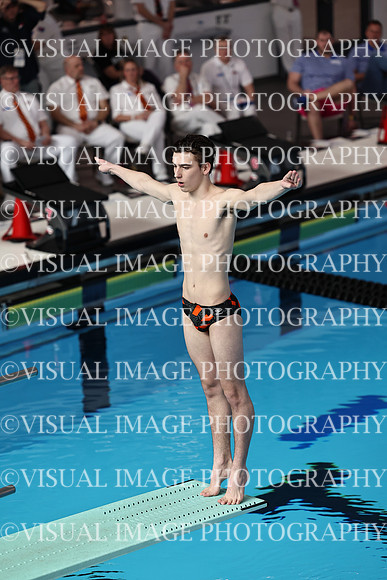 ILSW24_DIVE_F0009