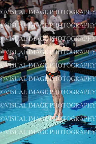 ILSW24_DIVE_F0012