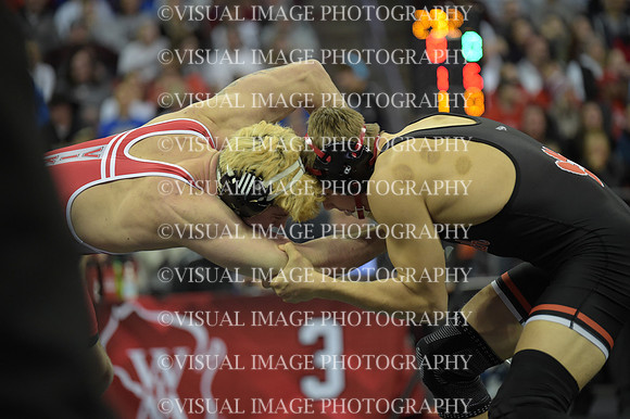 WIIWR26_190_21005