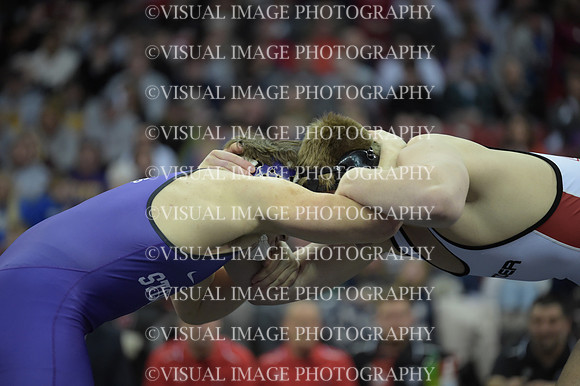 WIIWR26_285_21013