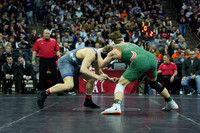 WIIWR26_132_31020