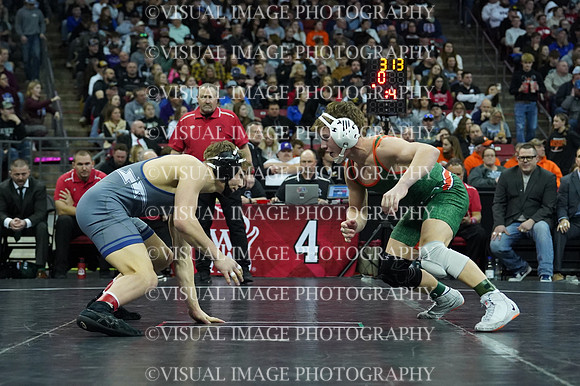 WIIWR26_132_31025