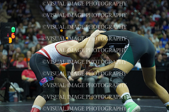 WIIWR26_138_31014
