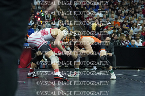 WIIWR26_175_31013