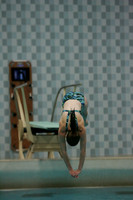 wiswg09_dive_2016
