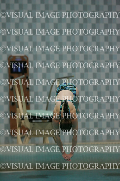 wiswg09_dive_2016