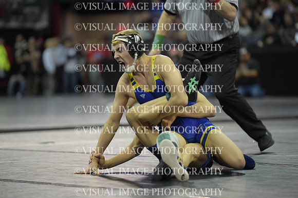 WIIWR26_113_C2010