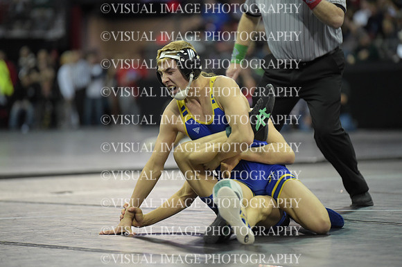 WIIWR26_113_C2011