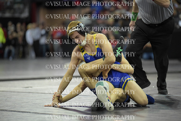 WIIWR26_113_C2013