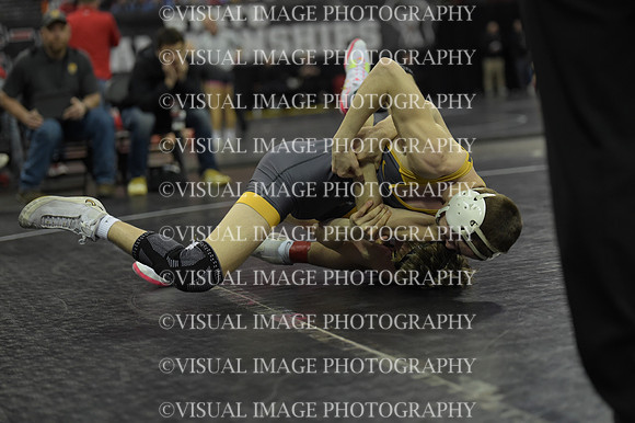 WIIWR26_132_C2031