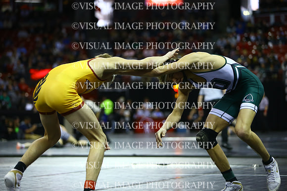 WIIWR26_157_C2007