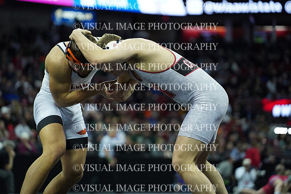 WIIWR26_215_C1017
