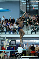ILSW26_DIVE_F0009